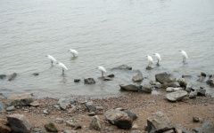 DSC04536
