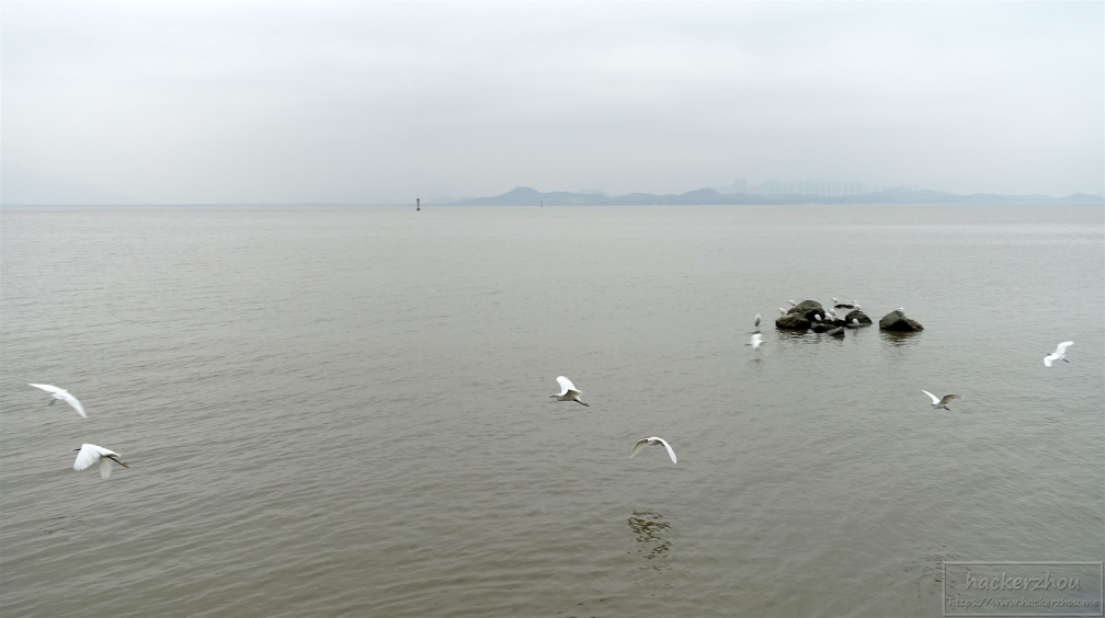 DSC04547