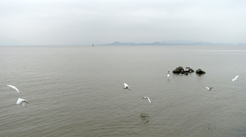 DSC04547.JPG
