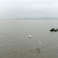 DSC04547
