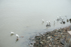 DSC04566