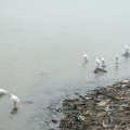 DSC04566