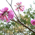 DSC04571