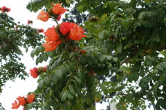 DSC04576