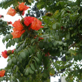 DSC04576