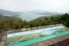 DSC04825