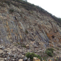 DSC04970