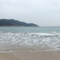 DSC04991