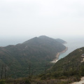 DSC05010