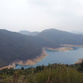 DSC05041