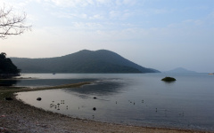 DSC05117