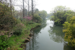 DSC05257