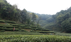 DSC05305