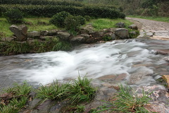DSC05312