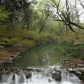 DSC05361