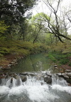 DSC05361