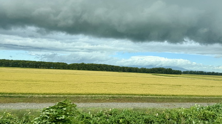 IMG 3695