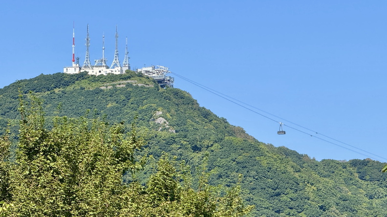 IMG_8804.JPG