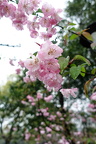 DSC05236