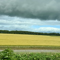 IMG 3695