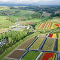 dji fly 20250827 162536 837 1756285269353 photo