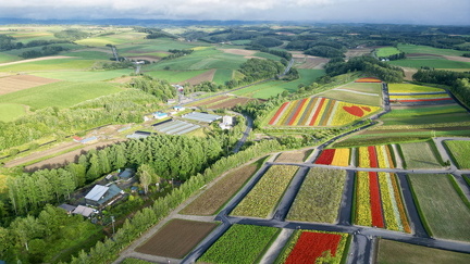 dji fly 20250827 162536 837 1756285269353 photo