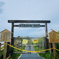IMG 4649