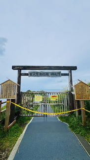 IMG 4649
