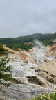 IMG 4911
