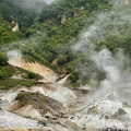 IMG_5238.JPG