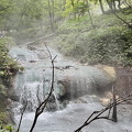 IMG 5507