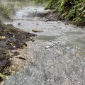 IMG 5531