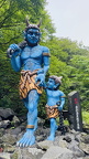 IMG 5586