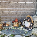 IMG 6431