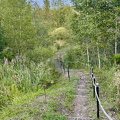 IMG 6616