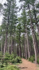 IMG 7246