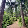 IMG 7243