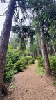 IMG 7243