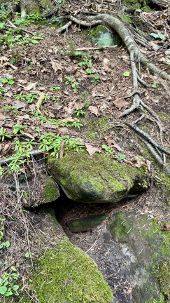 IMG 7282