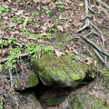 IMG 7282