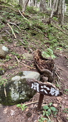 IMG 7276
