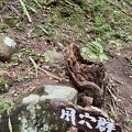 IMG 7276