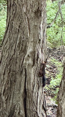 IMG 7271