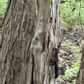 IMG 7271