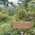 IMG 7365
