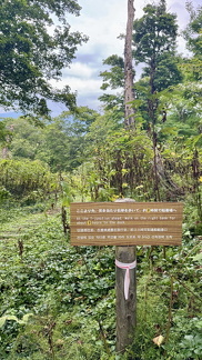 IMG 7365