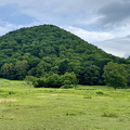 IMG 7309