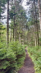 IMG 7286