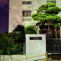 IMG 7801