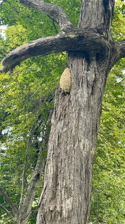 IMG 7374